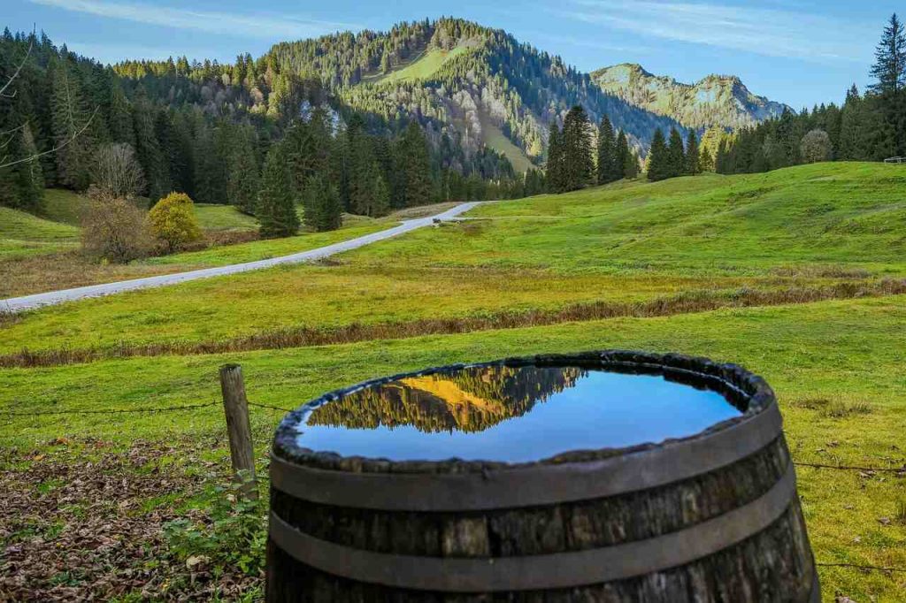 off-grid living: water harvesting